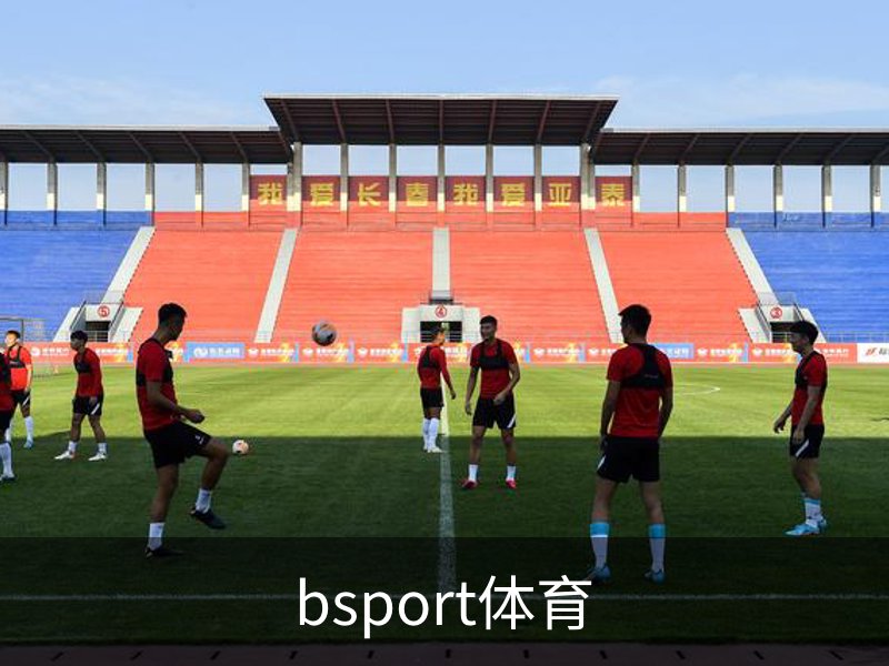 了解bsport体育